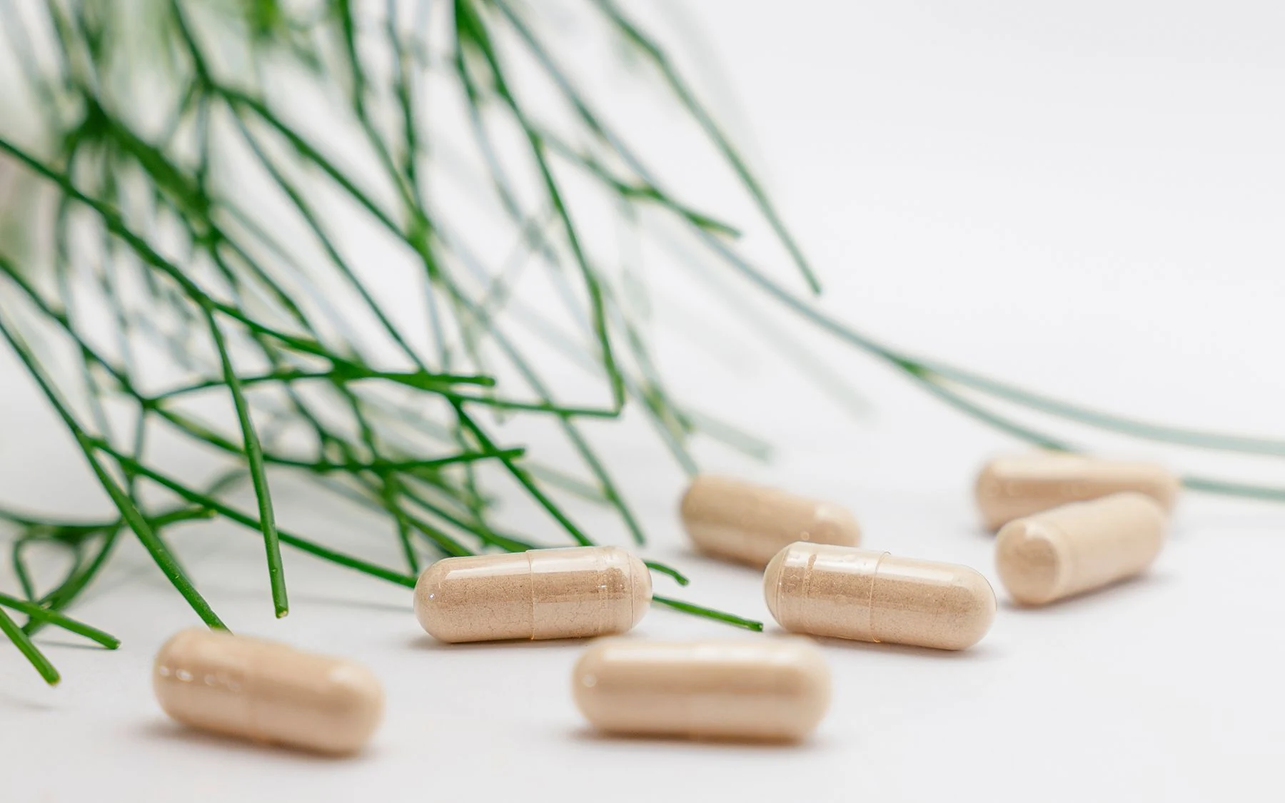 Supplement capsules arranged beside green botanical stems